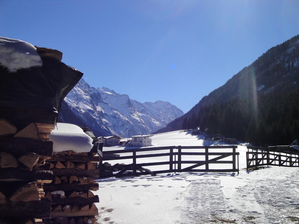 Apart Alpinea سانكت ليونارد إم بيتزتال المظهر الخارجي الصورة